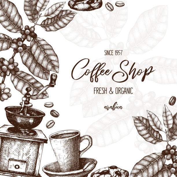 bildbanksillustrationer, clip art samt tecknat material och ikoner med kaffe design - coffe branch with beans