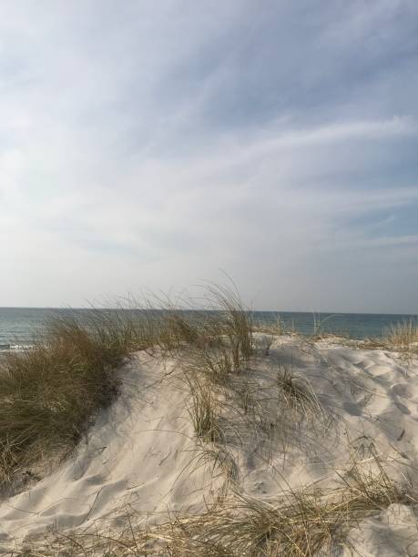 istock Beach on the Baltic Sea 1141391121