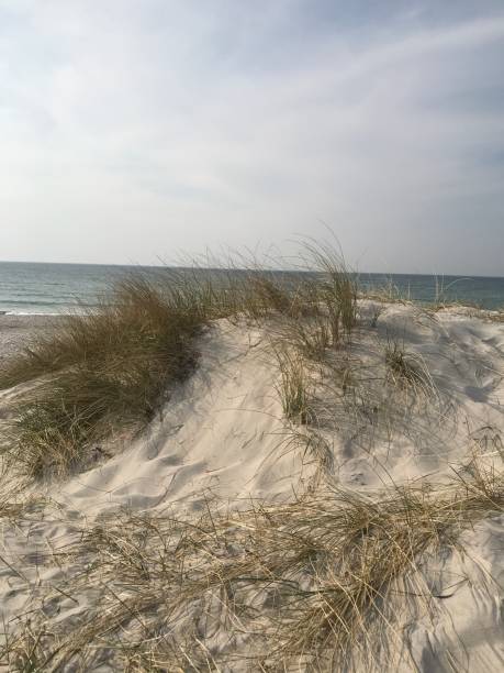 istock Beach on the Baltic Sea 1141391169