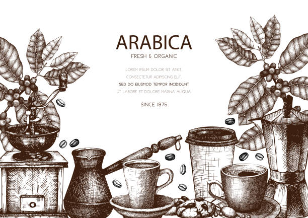 ilustrações de stock, clip art, desenhos animados e ícones de coffee menu template - café colheita