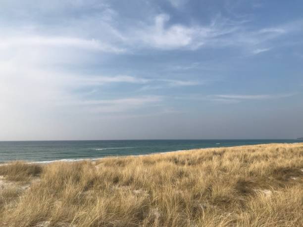 istock Beach on the Baltic Sea 1141391687