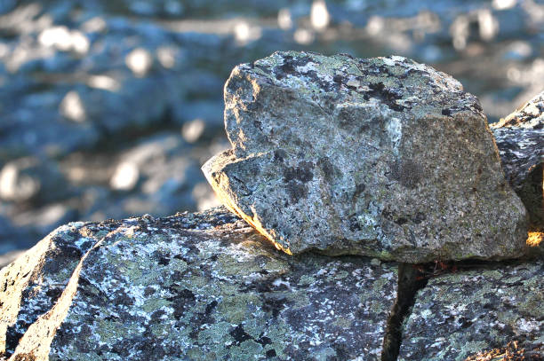 istock Pile of rocks 1141392651
