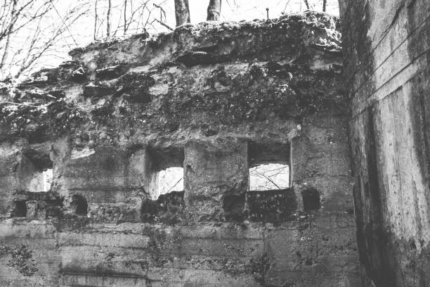 istock old ruin in the forest 1141395700