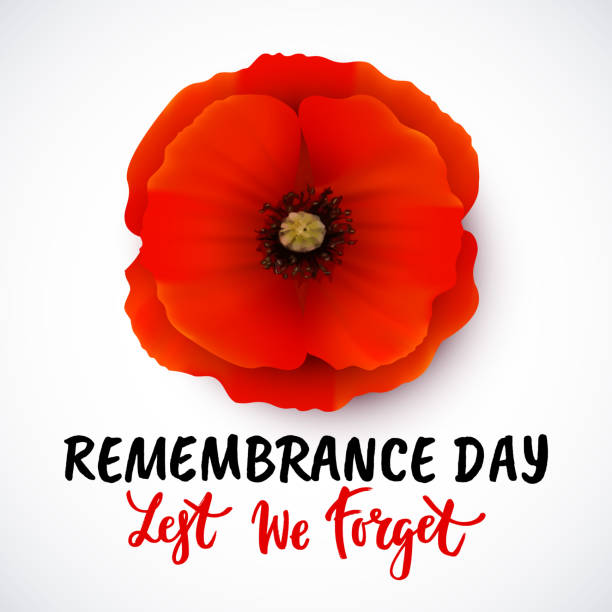 Remembrance day vector poster design with lettering - ilustração de arte vetorial