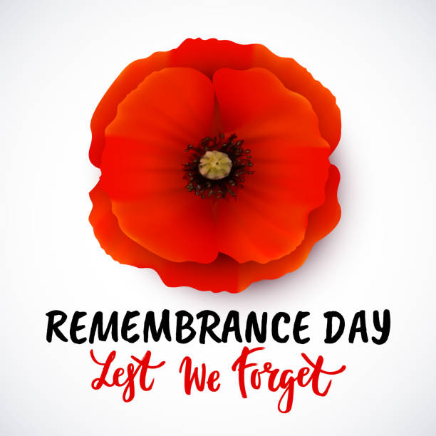 Remembrance day vector poster design with lettering Remembrance day vector card with bright red Poppy flower. Lest we forget hand written lettering. red poppy stock illustrations