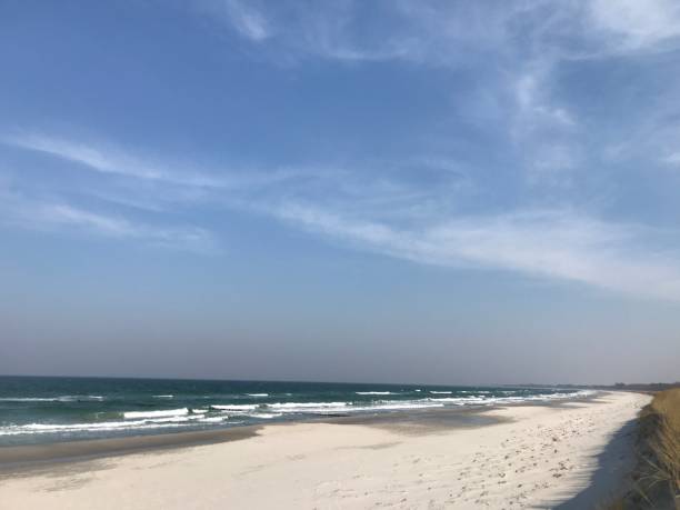 istock Beach on the Baltic Sea 1141398686