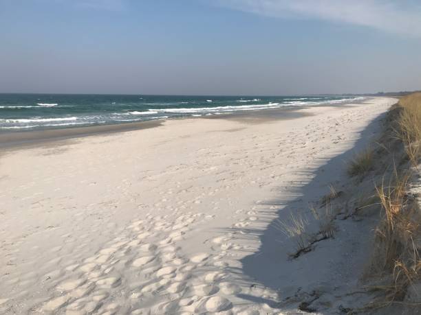 istock Beach on the Baltic Sea 1141398704