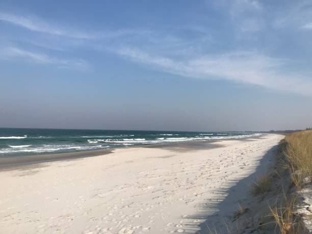istock Beach on the Baltic Sea 1141398724