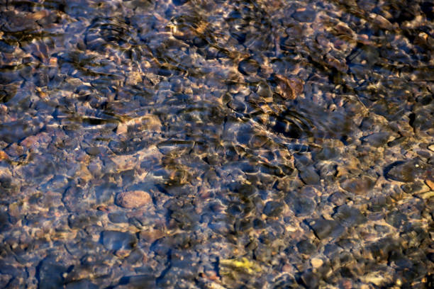 istock Running Water in a River in Springtime 1141398765
