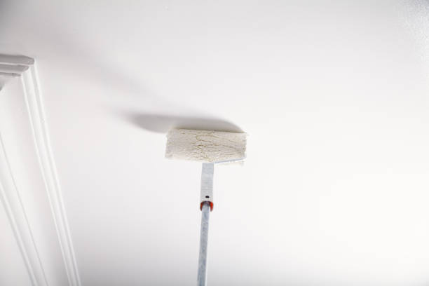 istock Painting the wall with a roller. Renovation 1141399868