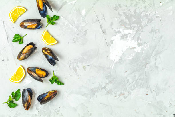 Seafood mussels, lemon and parsley on gray concrete surface stock photo