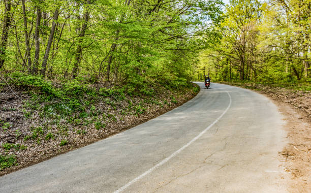 Bike riding on a forest road.