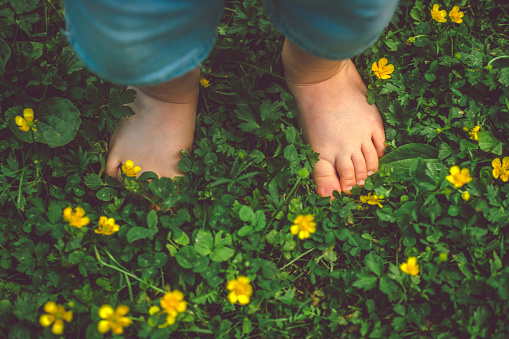 Feet of toddler among flowers