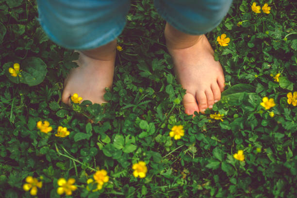 Child's feet on the green grass Feet of toddler among flowers barefoot stock pictures, royalty-free photos & images