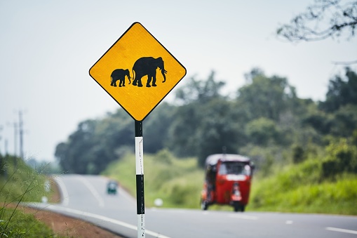 Road warning sign for elephant crossing road against traffic with tuk tuk, Sri Lanka