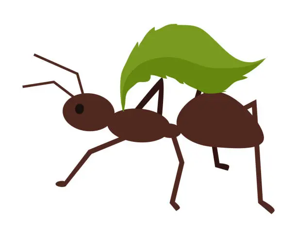 Vector illustration of Brown Ant with Green Leaf