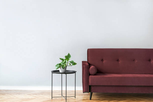 istock Minimalistic and luxury grey home interior with burgundy velvet design sofa, black coffe table with plant . Copy space for inscription, mock up poster. Brown wooden parquet. Grey background walls. 1141410916