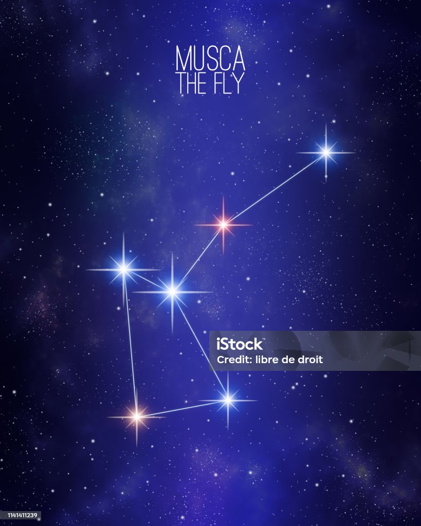 Musca Sign Musca The Fly Constellation Map Stock Illustration - Download Image Now ...