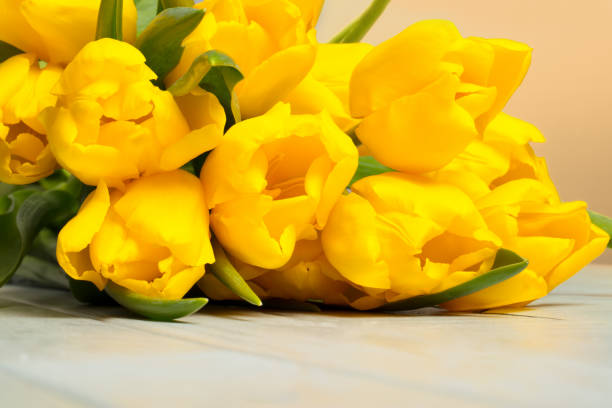 istock Tulips on a wooden table 1141411591