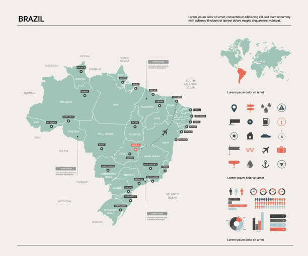 ilustraciones, imágenes clip art, dibujos animados e iconos de stock de mapa vectorial de brasil.  alto mapa detallado del país con la división, ciudades y capital brasilia. mapa político, mapa del mundo, elementos infográficos. - brazil