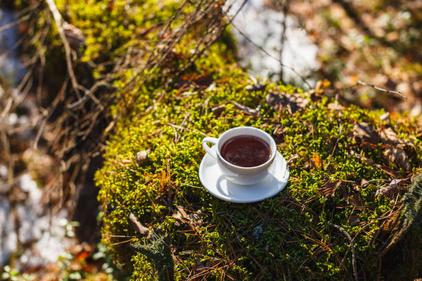 istock White cup with tea on a saucer in the sunny forest 1141415058