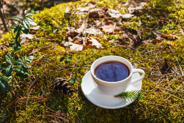 istock White cup with tea on a saucer in the sunny forest 1141415093