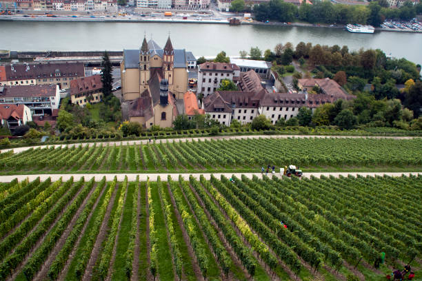 Autumn scene around the Bavarian town of Wurzburg, Germany