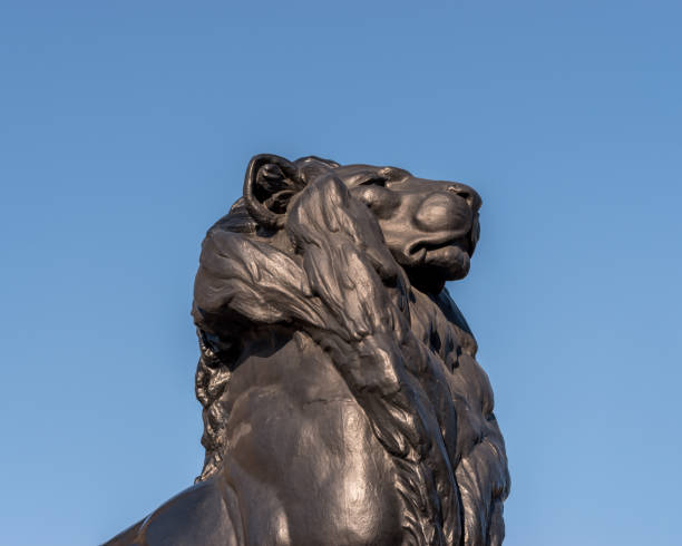 istock Bronze lion statue on background of the blue sky. 1141418913
