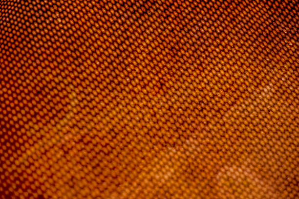 istock Blurred shadow from perforated mesh on rusty metal sheet. Surface with depth of field. 1141419333