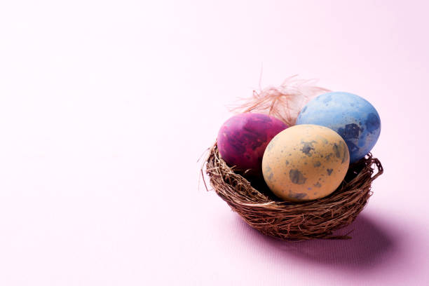 istock Colorful easter egg in the nest on pink background with copy space. Easter background. Minimalism 1141421583