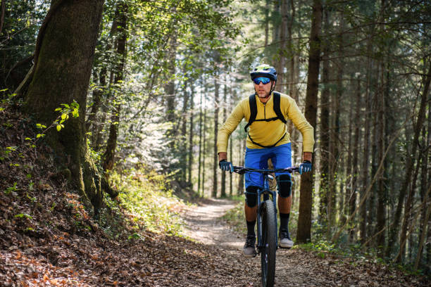istock MTB Enduro Mountain Biking in a pristine Forest 1141426165