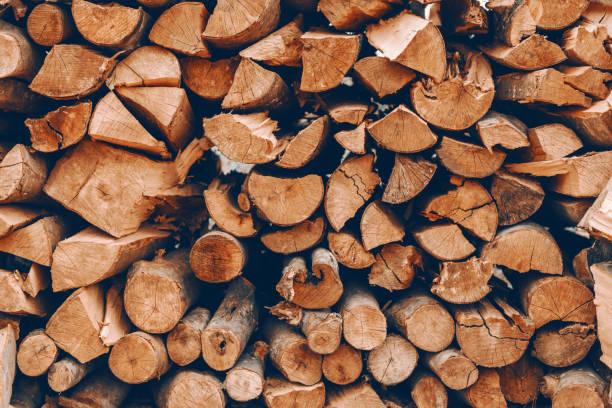 istock Picture of logs stacked on pile. 1141427220