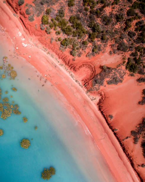 An aerial drone photograph of the Roebuck Bay coastline in Broome, Western Australia This photograph is a town down view and shows red pindan of the Australian desert as it meets the turquoise blue tropical waters of Roebuck Bay. Mangroves are dotted randomly throughout the shallow water. western australia stock pictures, royalty-free photos & images