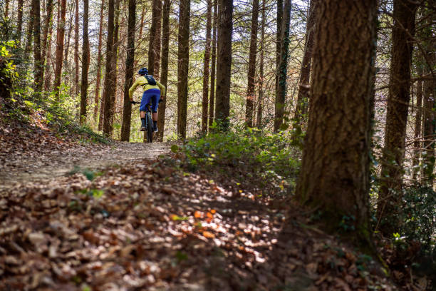 istock MTB Enduro Mountain Biking in a pristine Forest 1141428599