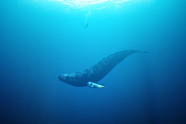 Jonás y la ballena - foto de stock