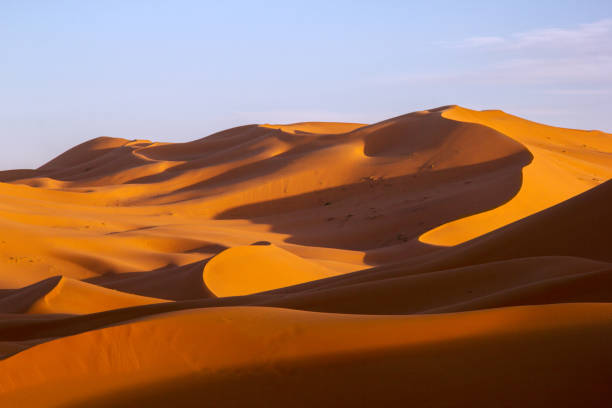 istock Sand dunes with lines and shadow in Sahara Desert 1141431943
