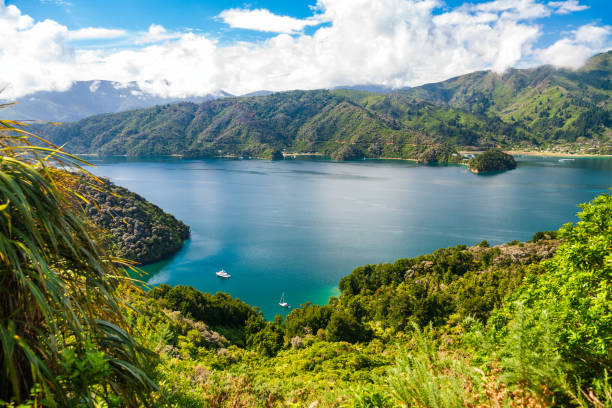 grove arm of queen charlotte sound marlborough sounds south island of new zealand - marlborough region stock-fotos und bilder