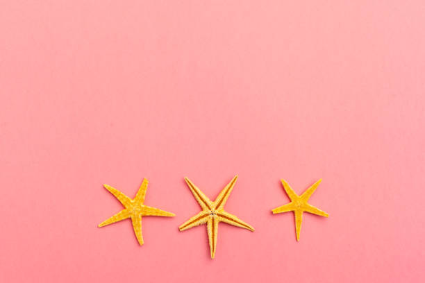 istock Starfishes on a bright colorful vibrant background 1141437356