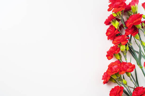 istock top view of carnation on white for mothers day 1141439449