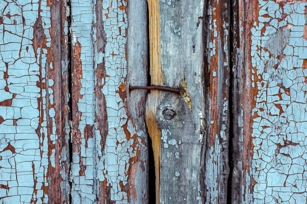 chiodo in metallo arrugginito unito a due lavagna bianca di legno con incrinato e graffio. texture orizzontale ravvicinata in legno di grunge - wood shutter rusty rust foto e immagini stock