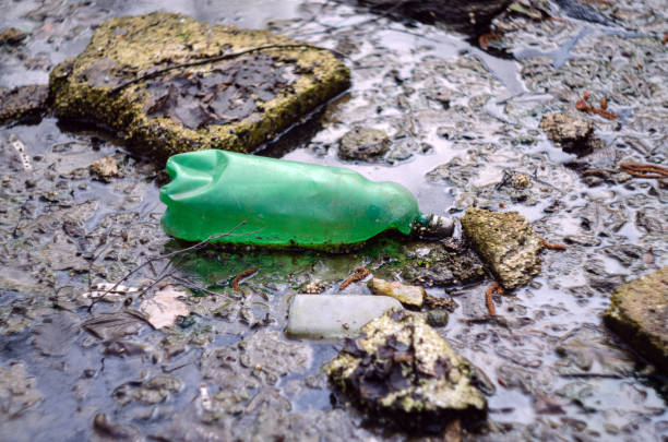 istock plastic bottles and other trash in the pond 1141444439