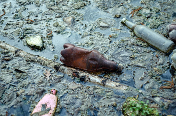istock plastic bottles and other trash in the pond 1141445190