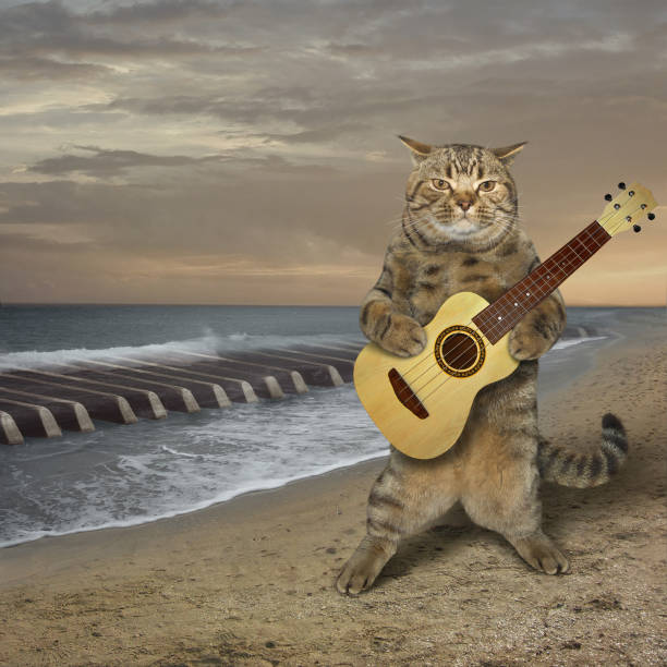 istock Cat plays the guitar on the beach 1141447437