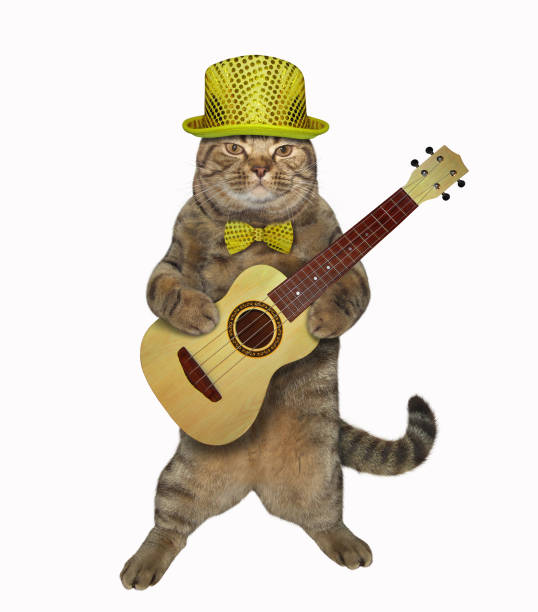 istock Cat plays the guitar 1141447438