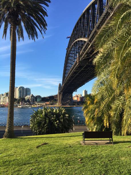 istock Sydney Harbour Bridge - Circular Quay 1141447450