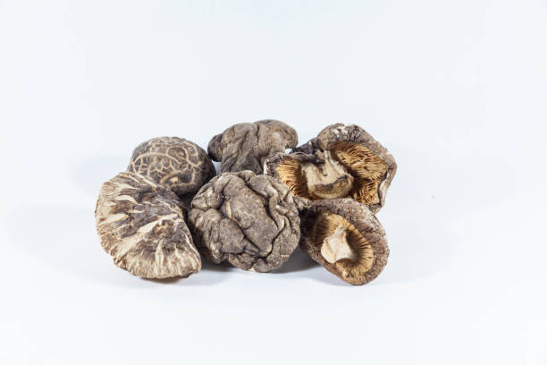 istock Dried mushroom in a white isolated background 1141448517