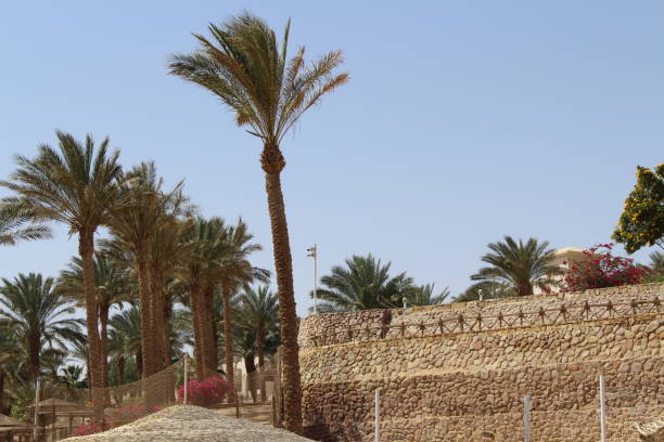 istock Coast of the Mediterranean Sea 1141450165