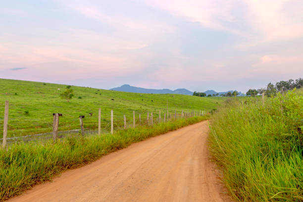 Rural road stock photo