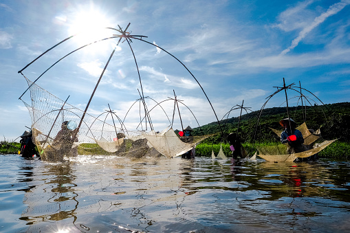 People in Ha Tinh Province have turned out in their droves to experience a joyful day of fishing at a traditional fishing festival.\n\nThe Dong Hoa fishing festival, or the Vuc Rao fishing festival, held at Vuc swamp in Xuan Vien Commune, Nghi Xuan District, attracted hundreds of participants, including children and elders, last Sunday morning.\n\nAround 5:30 am, large groups of anglers carrying fishing coops, nets, and other traditional fishing accessories flocked to a 30-hectare swamp in the hope of catching some of the big fish on offer, considered a sign of prosperity for the next harvest.\n\nAccording to the elderly, the festival dates back years ago, and is an annual event organized by local authorities and citizens between the end of the fourth lunar month and the beginning of the fifth, when the harvesting season ends.\n\nDuring the day, whenever a fisherman catches a large fish, crowds cheer, creating an exciting atmosphere all over the swamp.\n\nThe event aims to preserve and honor the traditions of the ancestors.\n\nThose who fish with coops and lift nets are given priority, followed by those using nets. Fishing tools involving electricity are prohibited.\n\nAttending the festival with his grandchildren, Hoang Van Thanh, an 83-year-old resident in Xuan Vien Commune, said that conventionally, the main event started once the village head gave a shout and had caught the first fish with a fishing coop.\n\n“Then, all villagers, each holding coops and nets, try to catch as many fish as possible in the hope of a prosperous harvest next season,” Thanh explained. “To the locals, the bigger the fish is, the better fortune they will have.”