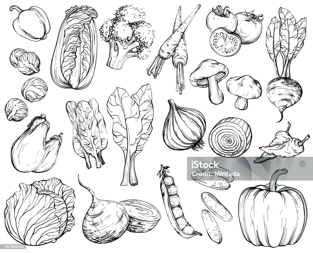 Collection of hand-drawn vegetables, black and white. Collection of hand-drawn vegetables, vector illustration in vintage style, black and white. Vegetable stock vector
